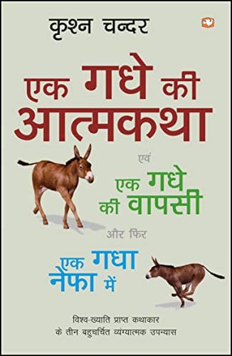 EK GADHE KI AATMKATHA