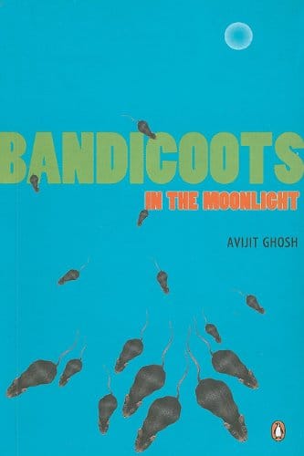 Bandicoots in the Moonlight
