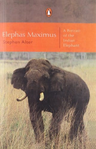 Elephas Maximus