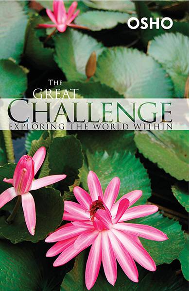 Great Challenge : Exploring The World Within