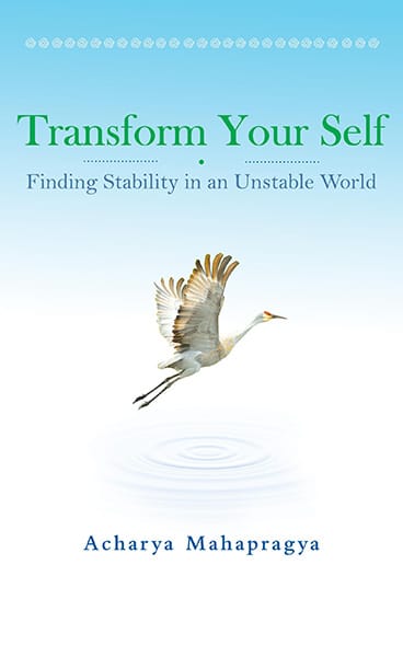 Transform Yourself : Finding Stability In An Unstable World