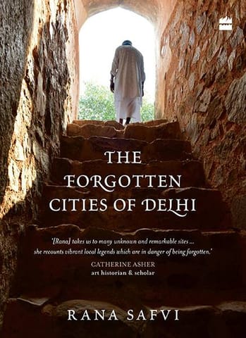 The Forgotten Cities of Delhi: Book Two in the Where Stones Speaktrilogy