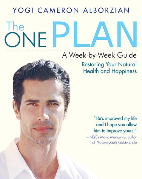 The One Plan- A Week-by-Week Guide to Restoring Your Natural Health andHappiness
