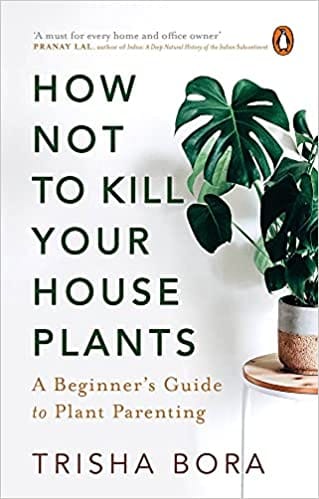 How Not to Kill Your Houseplants: A Beginner's Guide to Plant Parenting