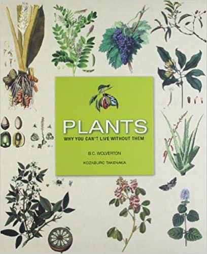 Plants