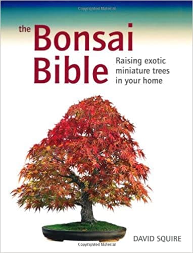 The Bonsai Bible: Raising Exotic Miniature Trees in Your Home