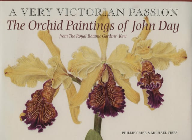 Very Victorian Passion: Orchid Painti