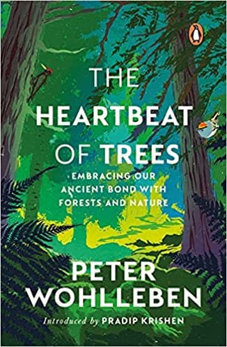 The Heartbeat of Trees: Embracing Our Ancient Bond with Forests and Nature