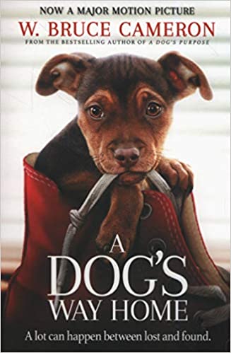 A Dog's Way Home: The Heartwarming Story of the Special Bond Between Man and Dog