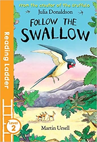 Follow The Swallow Level 2