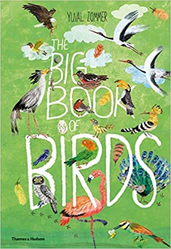 The Big Book Of Birds