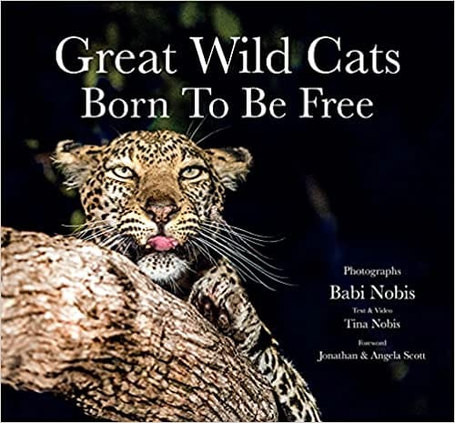 Great Wild Cats Born To Be Free