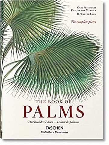 The Book Of Palms