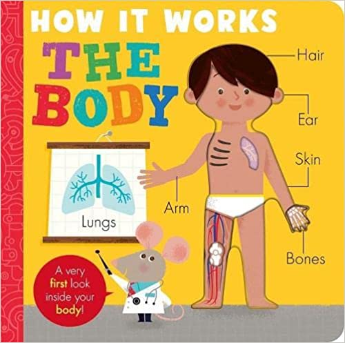 How It Works The Body Hiw Body