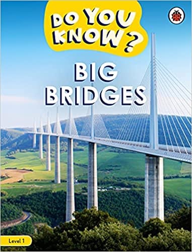 Do You Know Level 1 Big Bridges