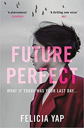 Future Perfect The Most Exciting High-concept Novel Of The Year
