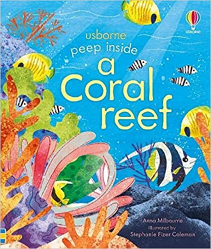 Peep Inside A Coral Reef