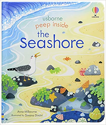Peep Inside The Seashore