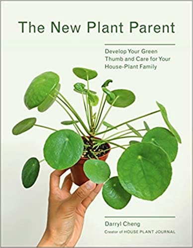 New Plant Parent Develop Your Green Thumb And Care For Your House-plant Family