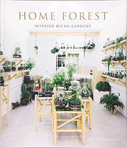 Home Forest Micro Gardens At Home