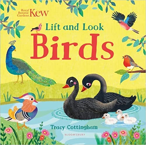 Kew Lift And Look Birds