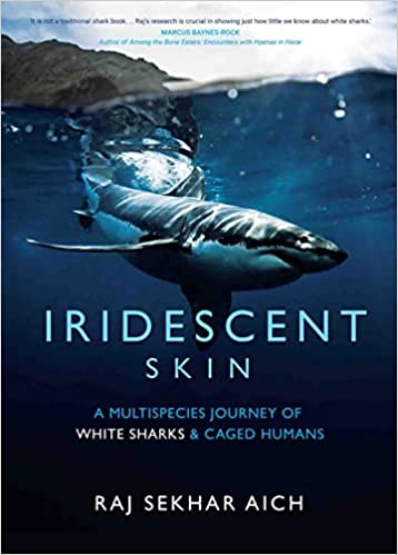 Iridescent Skin A Multispecies Journey Of White Sharks & Caged Humans