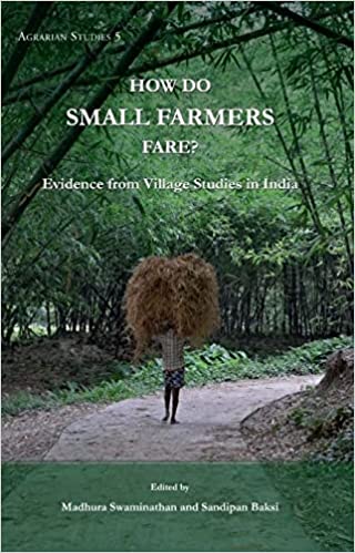 How Do Small Farmers Fare Evidence From Village Studies In India