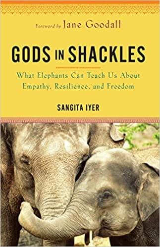 Gods In Shackles What Elephants Can Teach Us About Empathy Resilience And Freedom