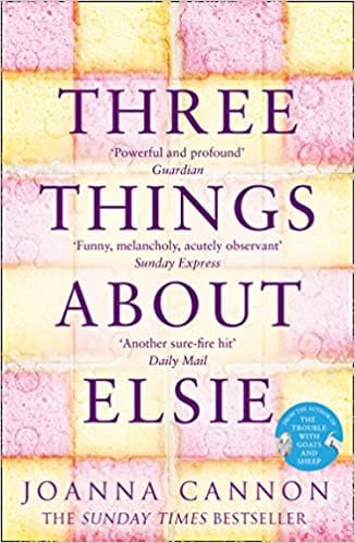 Three Things About Elsie The Sunday Times Bestseller Longlisted For The Womens Prize For Fiction