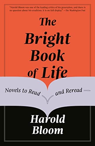 The Bright Book Of Life Novels To Read And Reread