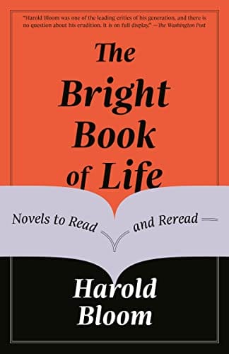 The Bright Book Of Life Novels To Read And Reread