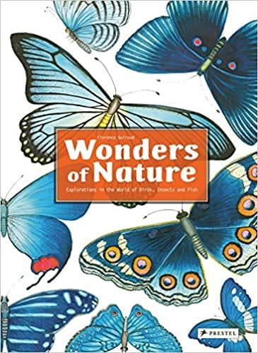 Wonders Of Nature Explorations In The World Of Birds Insects And Fish