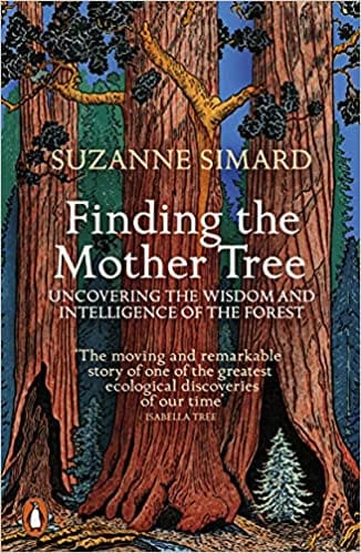 Finding The Mother Tree Uncovering The Wisdom And Intelligence Of The Forest
