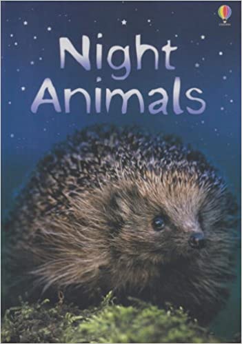 Night Animals