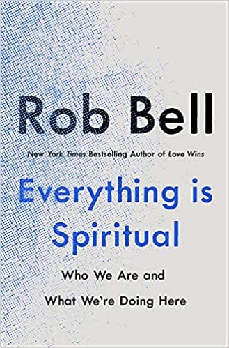 Everything Is Spiritual A Brief Guide To Who We Are And What Were Doing Here