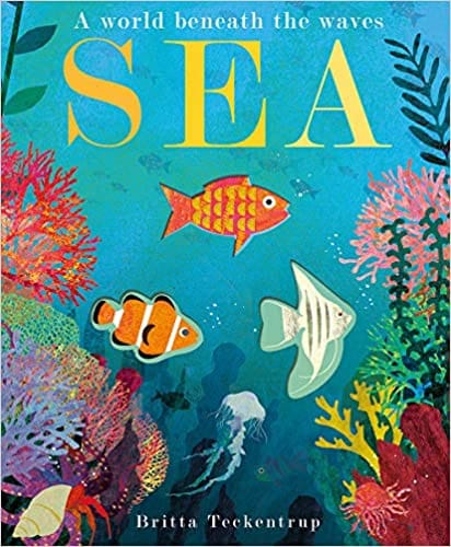 Sea A World Beneath The Waves