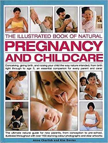 The Illustrated Book Of Natural Pregnancy & Childcare Hardcover No Author