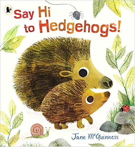 Say Hi To Hedgehogs!