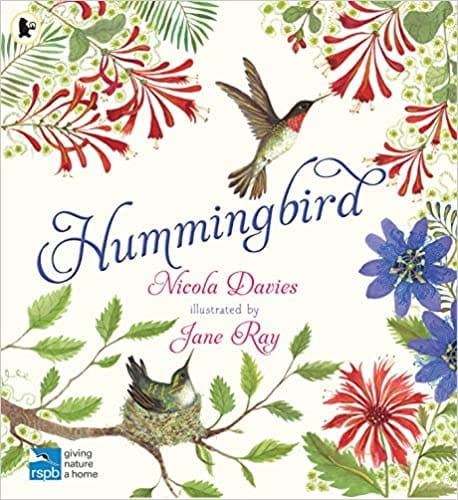 Hummingbird