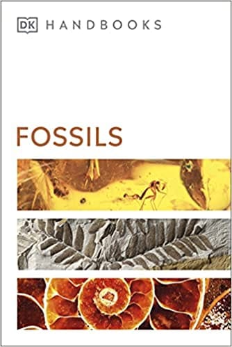 Fossils (dk Handbooks)
