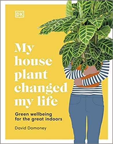 My House Plant Changed My Life Green Wellbeing For The Great Indoors