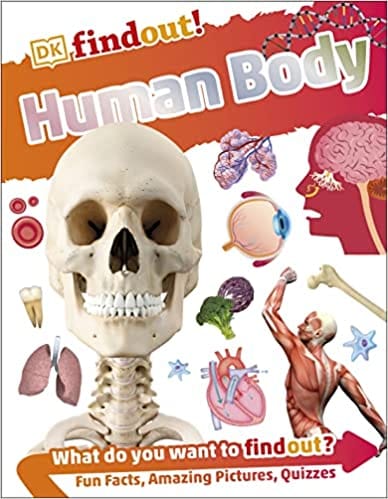 Dkfindout Human Body