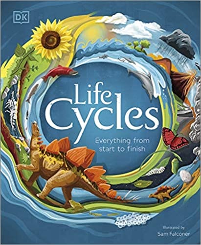 Life Cycles Everything From Start To Finish