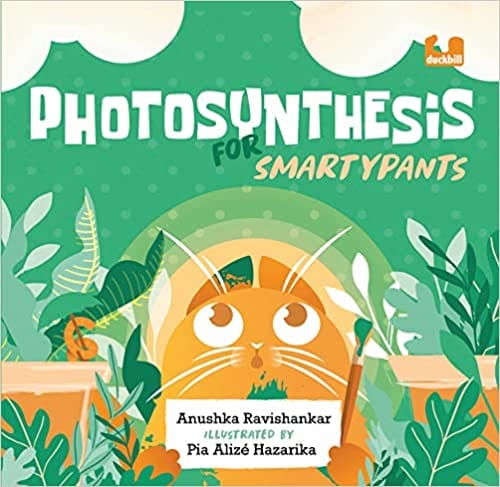 Photosynthesis For Smartypants