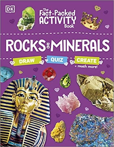 The Fact-packed Activity Book Rocks And Minerals With More Than 50 Activities Puzzles And More!