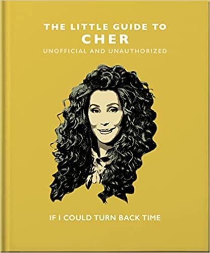 The Little Guide To Cher If I Could Turn Back Time 13