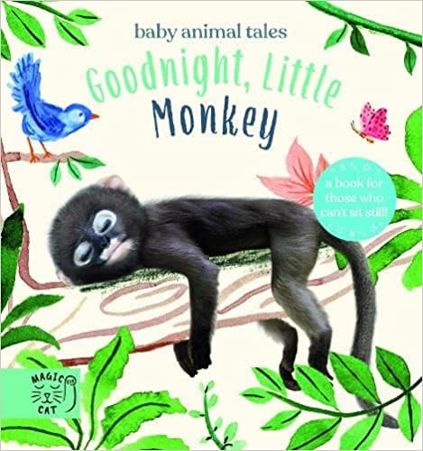 Goodnight Little Monkey