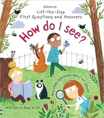 Lift-the-flap First Questions And Answers How Do I See?
