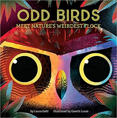 Odd Birds Meet Natures Weirdest Flock