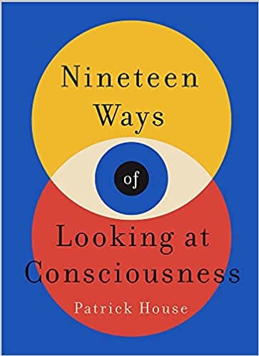 Nineteen Ways Of Looking At Consciousness